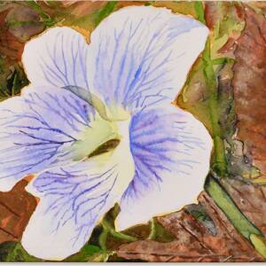 Forest Violet.jpg